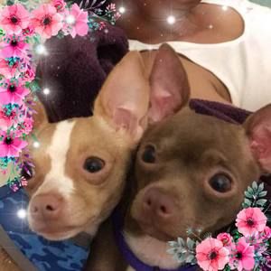 Meet your Posher, Griselda